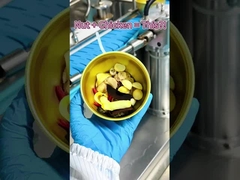 Soupe de poulet avec des noix et du lingzhi